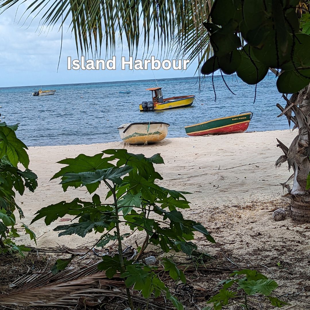 Island Harbour beach showing boats in the harbour