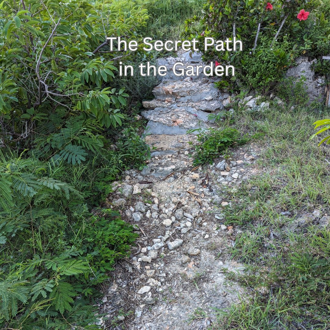 Rocky path edged by greenery