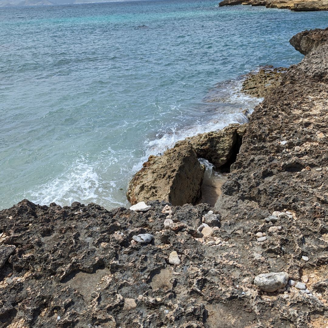 Elsie Bay reef edge to sea