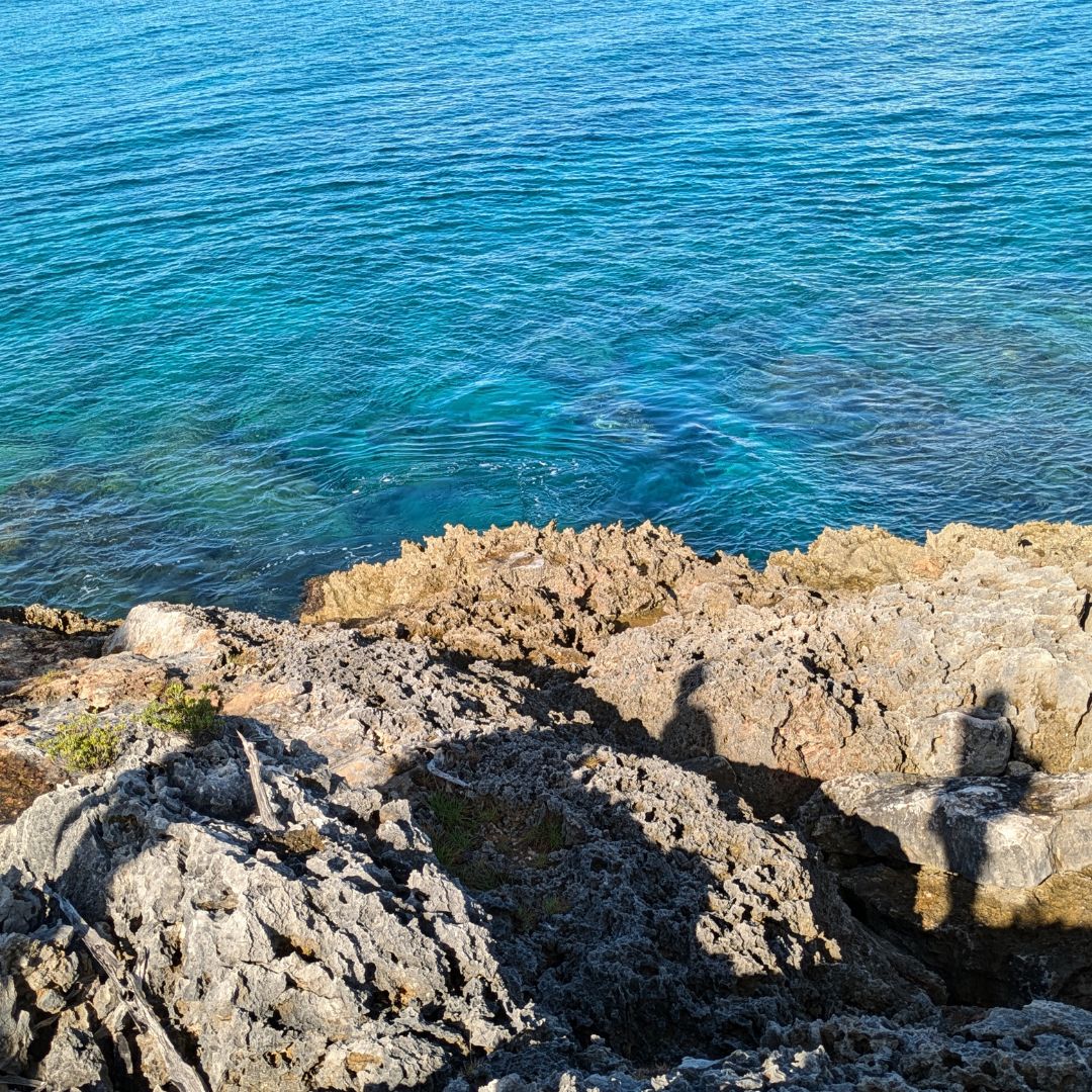 View down to the sea from the top of the cliff